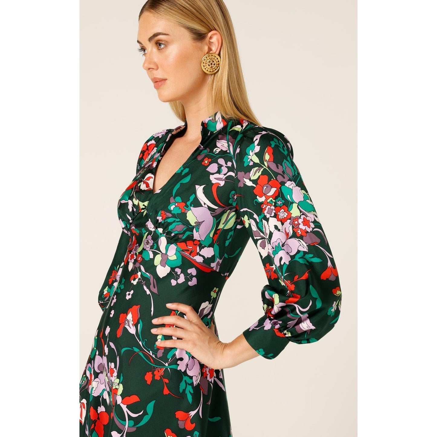 Sacha Drake Enchanted Garden Dress